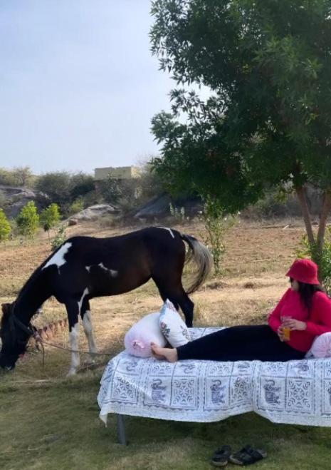 The Bagheera Bagh Jawai Hotel Bera Luaran gambar